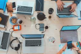 Transfer Pricing in the Consumer Goods Sector: A Sector Deep Dive